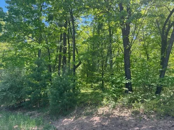 34 Frisco Dr, Houghton Lake, MI 48629