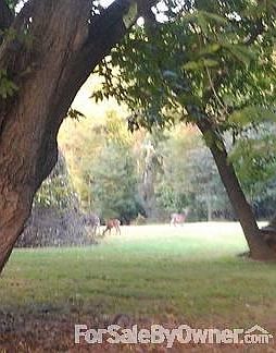 A slice of Heaven in Great Falls
						:
						Beautiful!