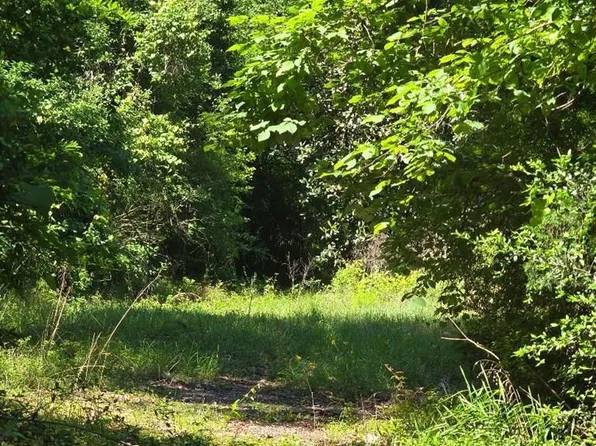 12405 Fm 1414, Burkeville, TX 75932