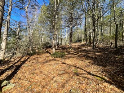 50 Pine Road, Colebrook, CT, 06021