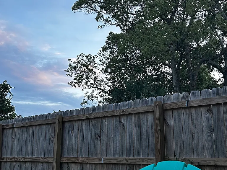 Backyard views of sunset