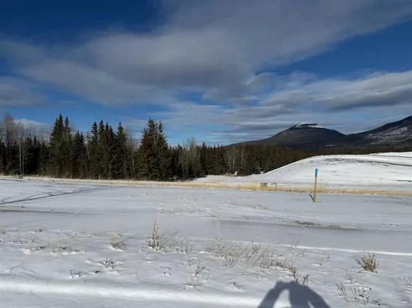 424 Lily Ave, Nordegg, AB T0M 2H0