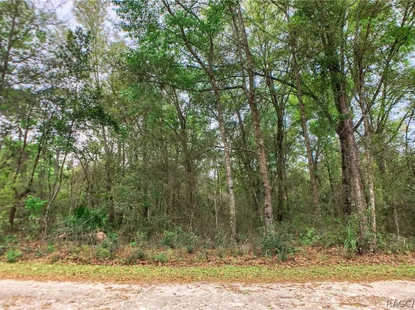7092 W Broadway St, Dunnellon, FL 34433