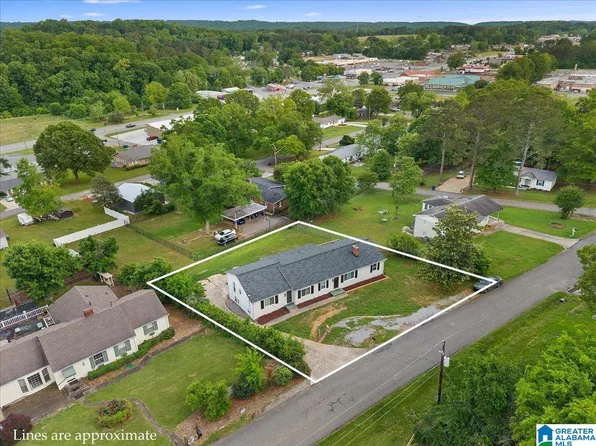 1203 Park Ave, Oneonta, AL 35121