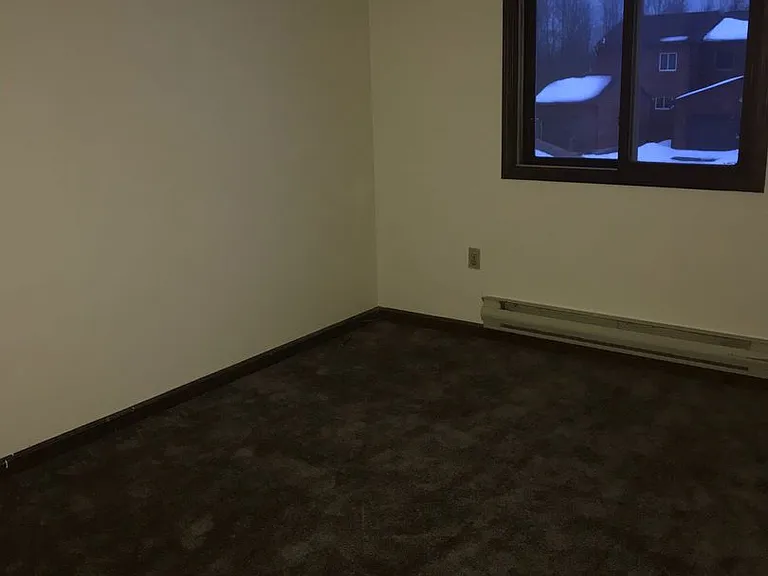 102 Newbury Hollow Ln — Photo 19