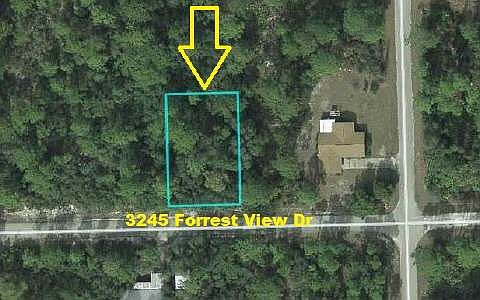 2nd image of 3245 Forrest View Ave