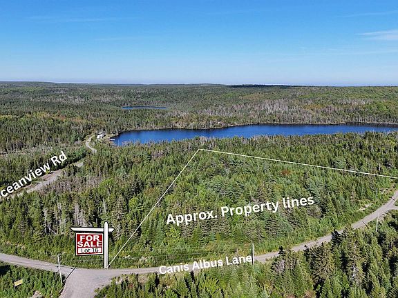 2nd image of Canis Albus Ln Lot 16