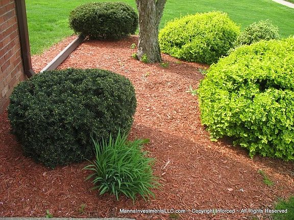 outside landscape