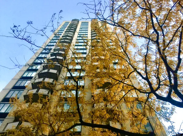407 Park Avenue South 20A image 16 of 16