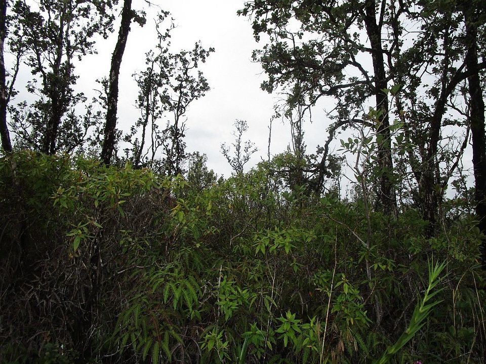 1st image of Poouli Road Rd #10-lot 5660