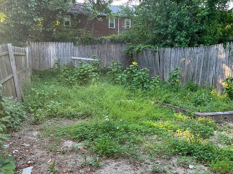 Paynter Dr — Photo 13