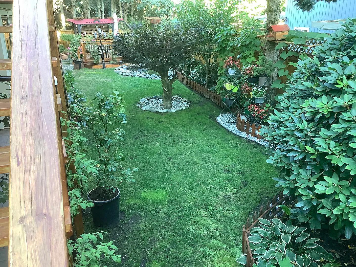 1 bed, 600 sqft, $1,600 — Photo 4
