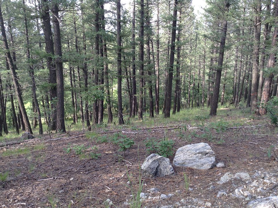 2nd image of 76 Aveineda Lustrosas