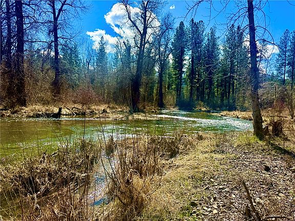 3rd image of Nine Mile Rd
