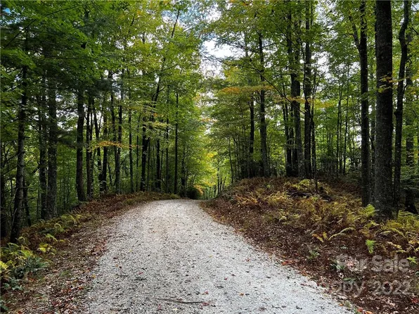 9999 Moccasin Trl, Rosman, NC 28772