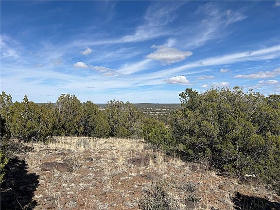 2nd image of 352-26-004 Doe Trail #4