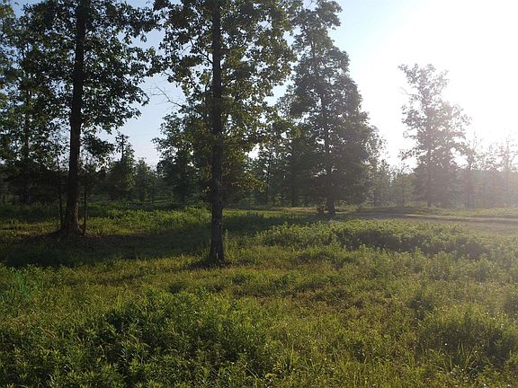 2nd image of TRACT Eight Whittington Homestead
