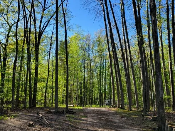 5201 Cedar Ct, Farwell, MI 48622