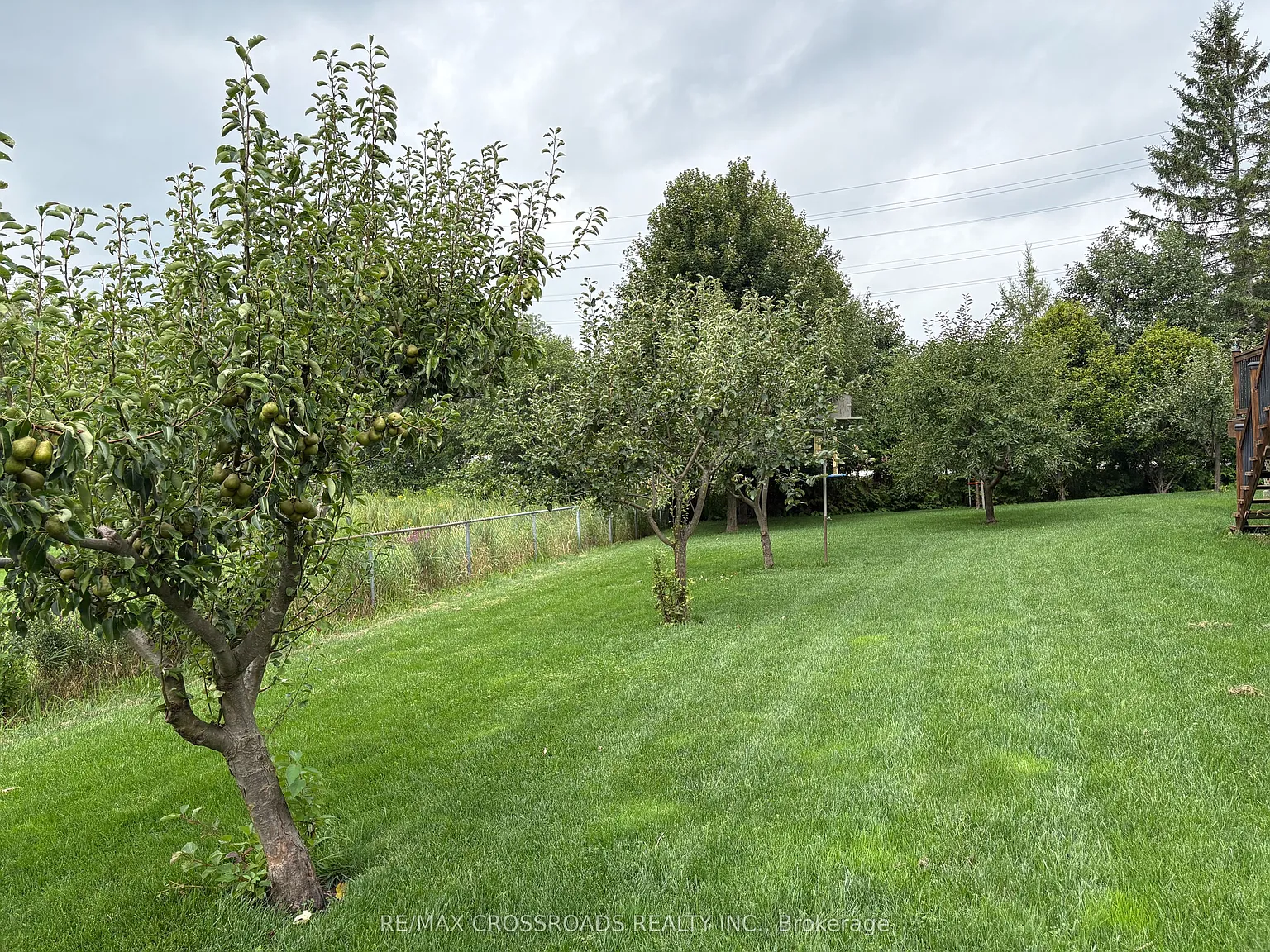 3 bed, $3,900 — Photo 4