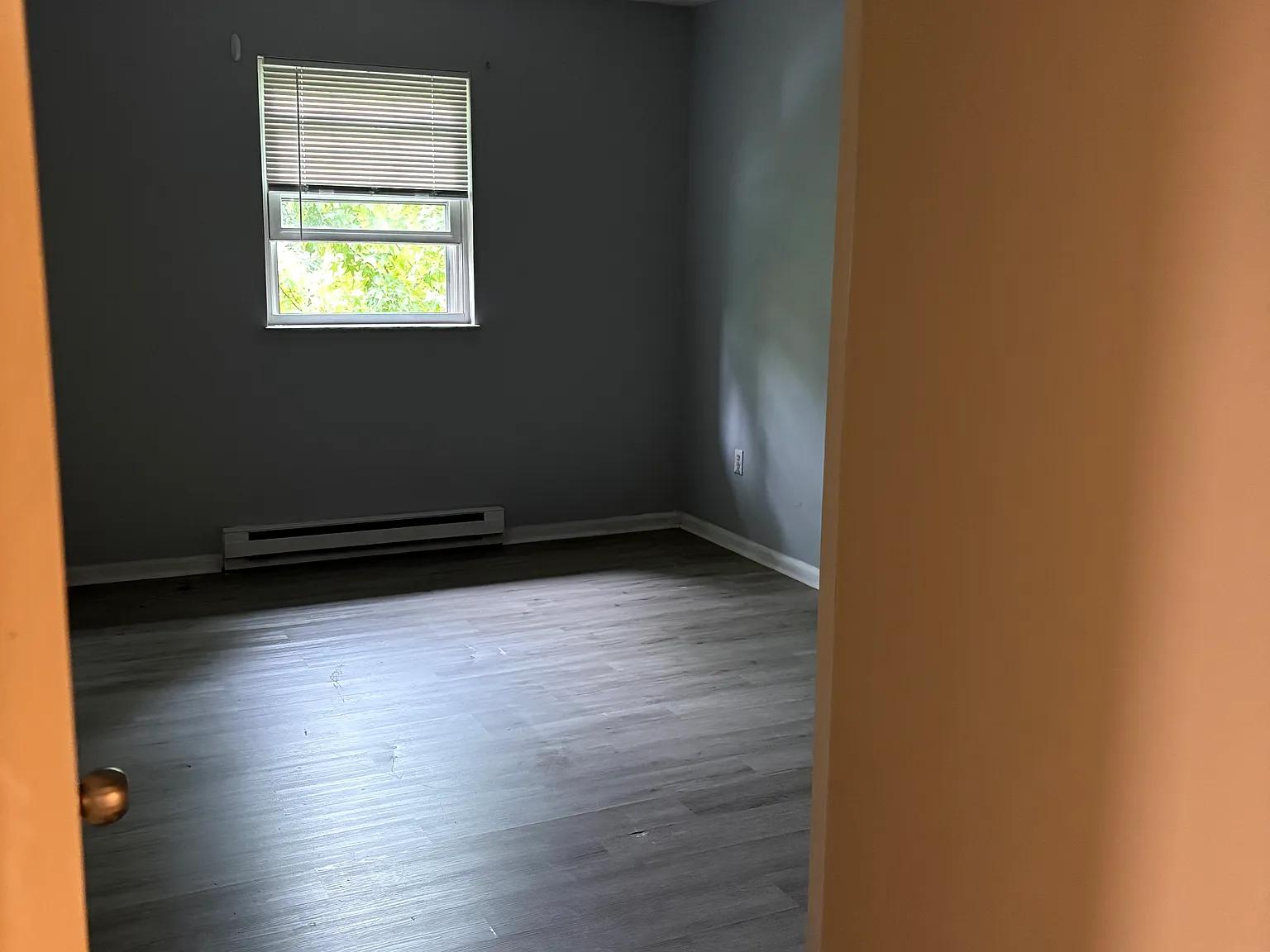 1 bed, 650 sqft, $1,450 — Photo 3