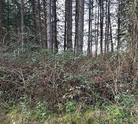 4th image of 0 XXX Hellman Road