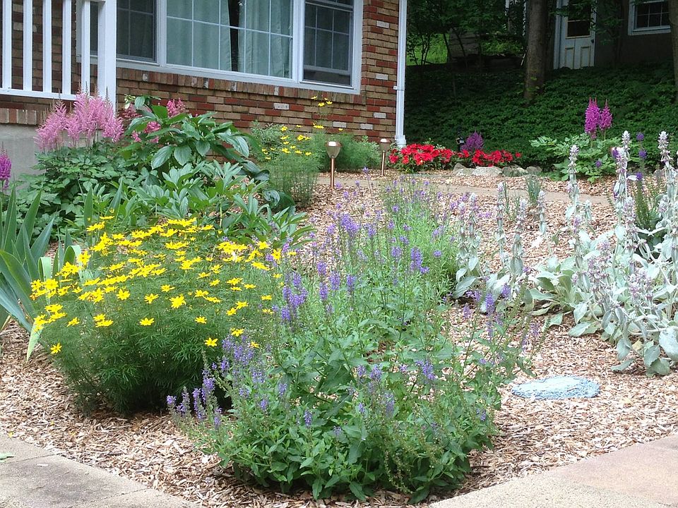 Flower Garden