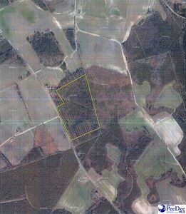 Oliver Rd, Hamer, SC, 29547