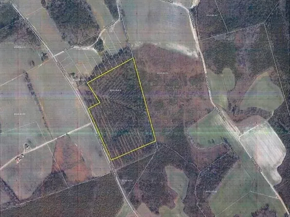 Oliver Rd, Hamer, SC 29547