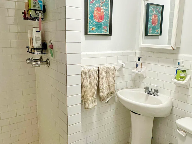 235 E 4th St #5F — Photo 9