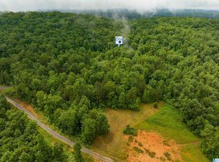 0 Crawford Cove Rd, Springville, AL 35146