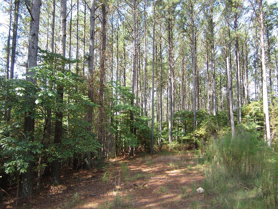2nd image of W Pine Ridge Cv