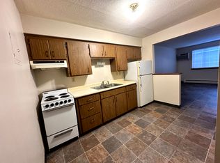 1321 Division St #102, Hopkins, MN 55343
