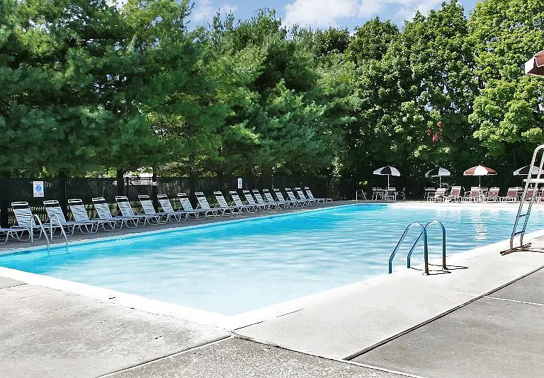 Pool & Sun Deck