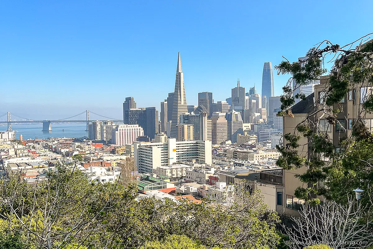 1 bed, 600 sqft, $1,000 — Photo 1