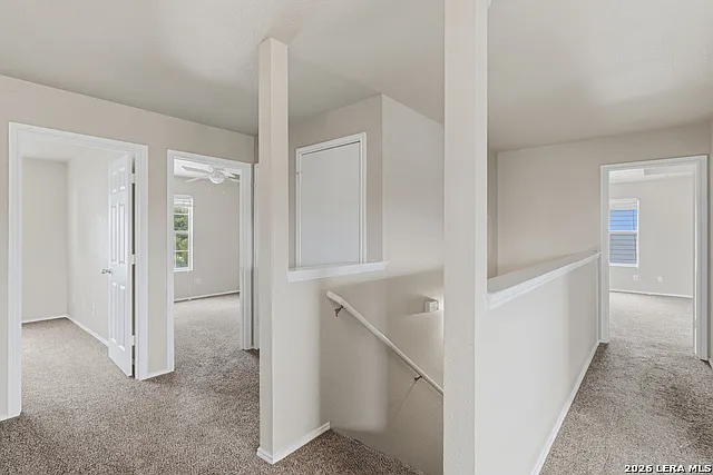 25513 Gold Yarrow — Photo 12