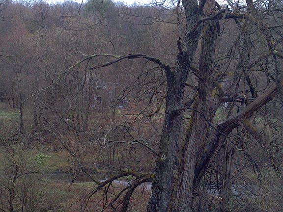 House view from Beaver Creek