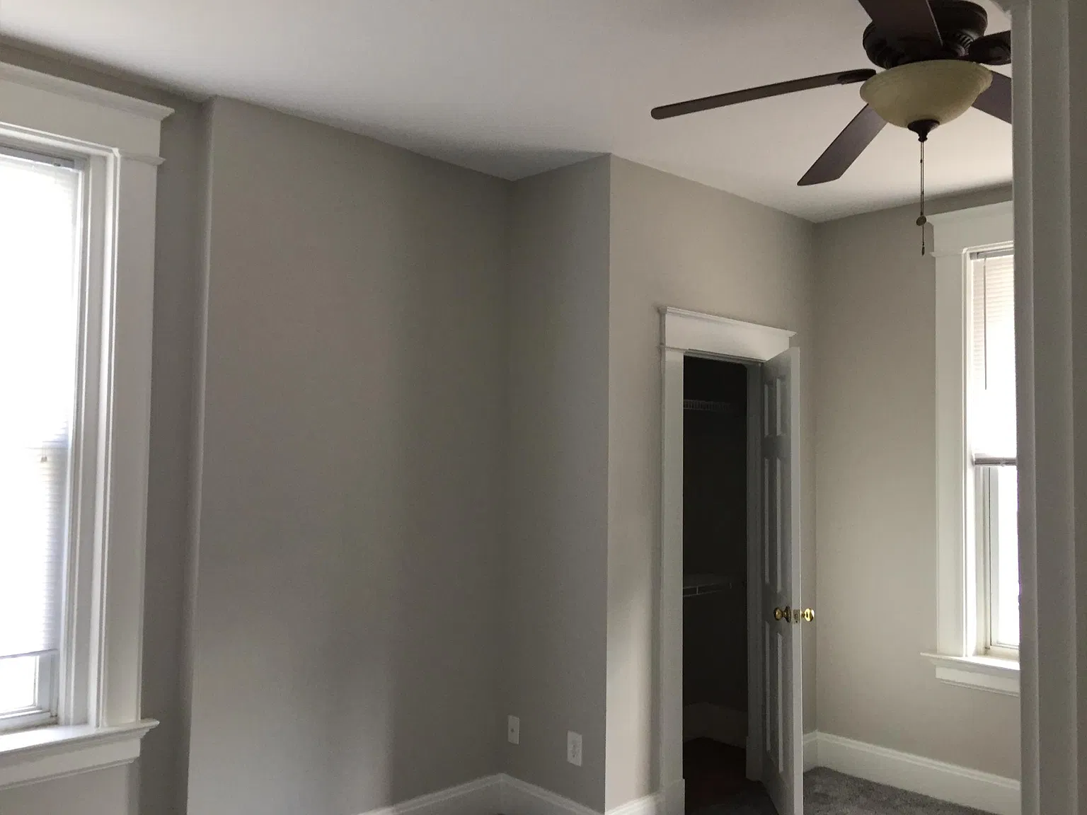 87 Albert St — Photo 4