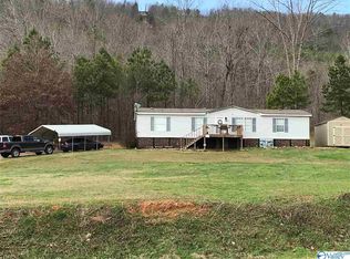 2645 Beason Cove Rd, Steele, AL 35987