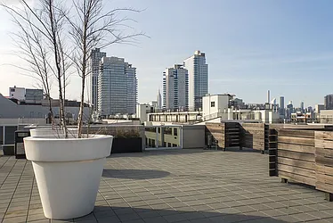 Rented by Bold New York