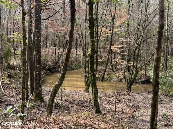 0 Auburn Dr SW, Bogue Chitto, MS 39629
