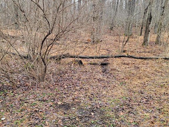 4th image of Camp Galilee Rd