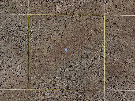 2.5 Acres Arizona Rancheros