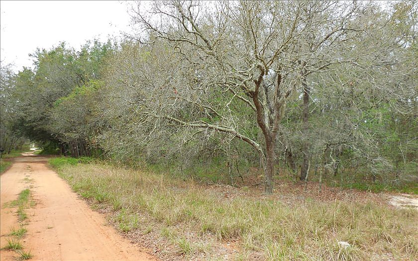 2nd image of 1827 N Fantasy Rd