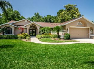 1591 McAuliffe Ln, Palm Harbor, FL 34683