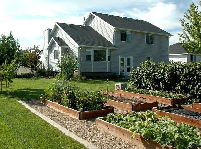 Backyard/Garden