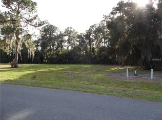 34953 Golden Tree Dr, Leesburg, FL 34788