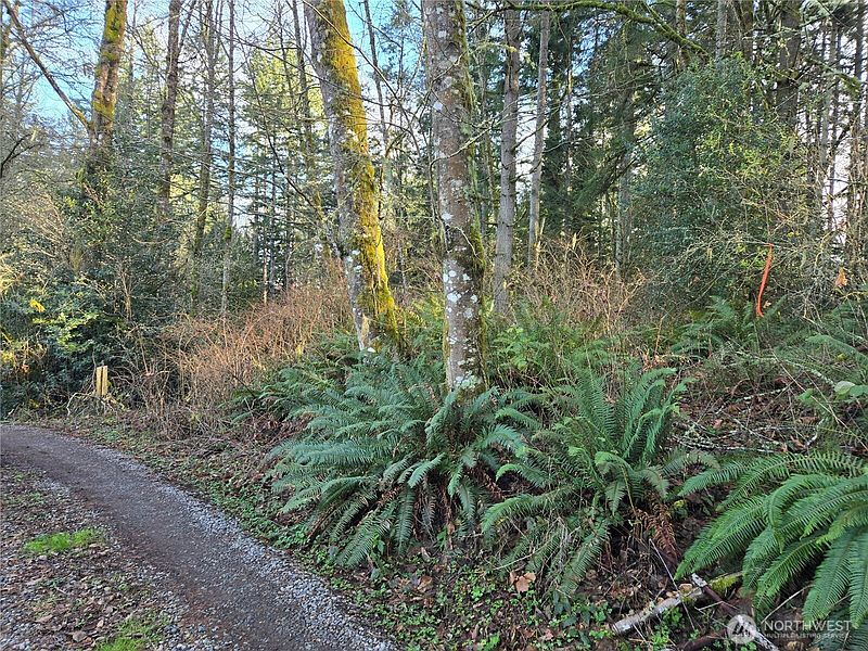 4th image of 233 XX State Highway 3 NW