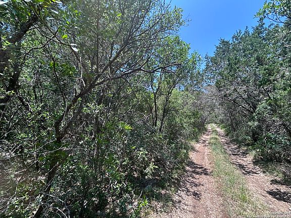 4th image of LOT 170 County Road 408
