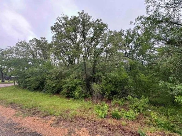 319 Shady Oak St, Somerville, TX 77879
