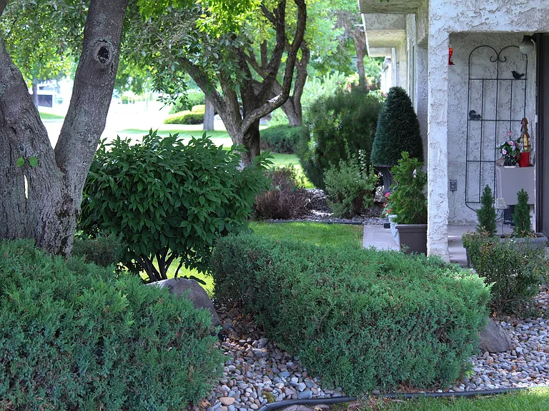 Lyons Court Apartments — Photo 18